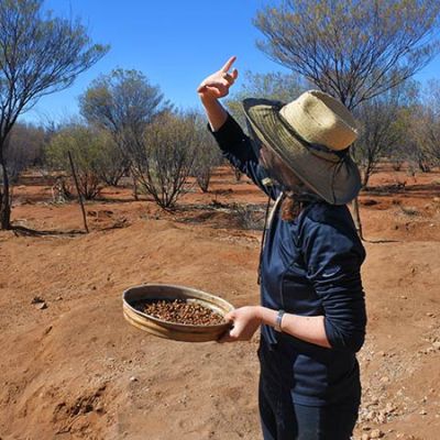 Digging History Australia Gold Detecting